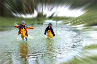Walking in the rain: Mit Regenwasser kann man nicht nur Spaß haben, man sollte es auch sinnvoll nutzen. Foto: ddp-direkt
