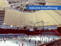 Die beliebte Expertenseminarreihe von Kaimann, Oventrop, Wilo und Zehnder tourt 2019 durch Deutschlands Eishockeystadien.