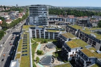Zum nachhaltigen Bauen können Gründächer gehören. Auch hier gilt: Eine höhere Investition kann über die Jahre hinweg Einsparungen schaffen. Bild: BuGG
