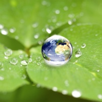 Um den stetig knapper werdenden Ressourcen entgegenzuwirken, ist es wichtig, im Gebäudesektor Zertifizierungen wie BREEAM und LEED zu forcieren. Dabei unterstützen Produkte, die nachgewiesenermaßen so nachhaltig sind, dass sie zur Zertifizierung beitragen.<br />Bild: iStock