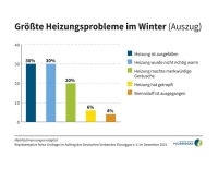 Infografik: Heizungsprobleme im Winter.<br />Bild: Deutscher Verband Flüssiggas e.V.<br />