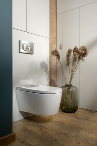Das Geberit AquaClean Sela bietet alle wichtigen Grundfunktionen für die Reinigung des Pos mit Wasser sowie zusätzliche Features für mehr Komfort (z. B. Ladydusche, Entkalkungsfunktion, Orientierungslicht in verschiedenen Farben).