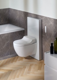 Das Geberit AquaClean Tuma verfügt über alle wichtigen Grundfunktionen eines Dusch-WCs und ist somit ideal für Einsteiger. Das Sanitärmodul Geberit Monolith enthält die gesamte Installationstechnik inkl. Wasserzu- und -ableitung und Spülkasten.