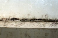 Bild: VZ NRW/adpic 