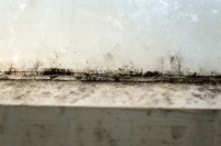 Bild: VZ NRW/adpic 