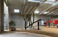 Die Deckenstrahlplatten aus der Serie KIT ließen sich unter dem Dach befestigen – Wände und Boden bleiben frei von Installationen.<br />Bild: RMBH GmbH