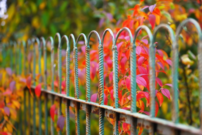 Bild: envato elemets / Pilat666