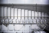 Bild: pexels.com <br /><br /><br />