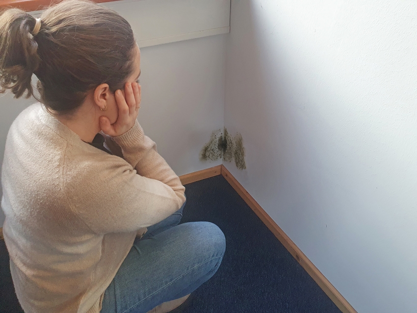 Schreckmoment: Wenn Feuchtigkeit aus dem Erdreich in...