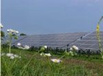 Freilandanlage im Gewerbepark Breisgau. Fotos: SolarMarkt.......