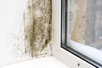 Bild:de.depositphotos.com/ID: 1569622, Autor: timbrk<br /><br />