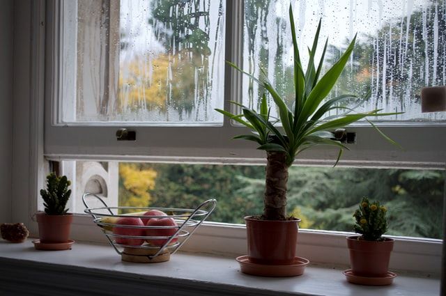 Beschlagene Fenster sind ein Anzeichen für ein schlechtes...