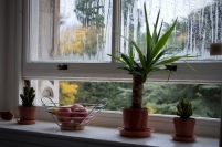 Beschlagene Fenster sind ein Anzeichen für ein schlechtes.......