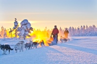 Während der Schlittentouren können die Gäste der Arctic River Lodge die verschneite Landschaft der Umgebung von Tärendö erkunden.<br />Bilder: Bosch