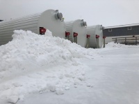 Schneewehen vor Lagertanks.<br />Bilder: Dehoust