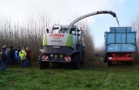 Mit dem Claas Jaguar 890 mit Spezial-Mähaufsatz wurden die Pappeln und Weiden auf den HDG Energieflächen im Nu geerntet.