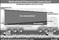 Im Jahr 2020 können Biokraftstoffe bis zu 1/4 unseres Gesamtverbrauchs stellen.