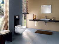 Die Geberit AquaClean Designplatte lässt die Anschlüsse.......