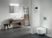 Edel und glänzend – mit Komfort der Extraklasse: Beim Geberit AquaClean Mera verbirgt sich die ausgeklügelte Technik hinter einer Chromabdeckung. Sie lässt das Dusch-WC elegant und leicht erscheinen.