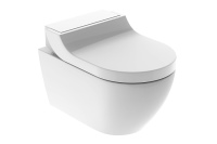Überraschend vielseitig: Das neue Dusch-WC vereint elegantes Design mit durchdachter Technik. Die Designabdeckung ist ein echter Hingucker und harmoniert optimal mit den Geberit Betätigungsplatten.