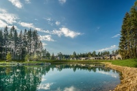 Die Ferienhäuser im Center Parcs Park Allgäu fügen sich idyllisch in die Umgebung ein und erinnern an einen ruhigen Vorort. Die gesamte Ferienanlage umfasst 1.000 Wohneinheiten mit 5.004 Betten.<br />Bild: Center Parcs Park Allgäu<br />