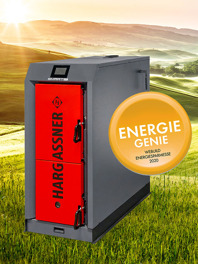 Stückholzkessel Smart-HV
