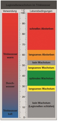 Wachstum von Legionellen im Trinkwasser in Abhängigkeit von der Temperatur.