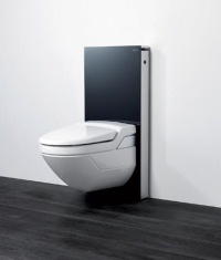 Geberit Monolith Sanitärmodul für Geberit AqauClean, Glas schwarz/Aluminium, Art.Nr. 131.023.SJ.1.