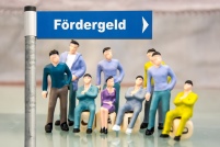 Vielfältige Förderprogramme wie z.B. das Marktanreizprogramm.......