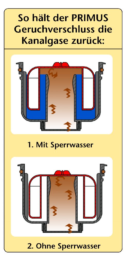 So hält der PRIMUS Geruchsverschluss die Kanalgase...