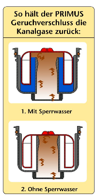 So hält der PRIMUS Geruchsverschluss die Kanalgase zurück
