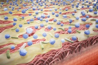 Gelangt zu trockene Luft in die Atemwege, so wird die Schleimschicht zähflüssiger und durchlässiger für Krankheitserreger und die Immunabwehr geschwächt.