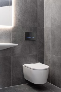 Das spülrandlose Geberit ONE WC ist besonders reinigungsfreundlich und kann ohne Eingriff in die Vorwand in der Höhe verstellt werden. Auch die berührungslose Betätigungsplatte Sigma80 erfüllt den Anspruch an Hygiene und Design.