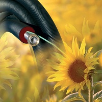 Das vorisolierte Rohrsystem Flexalen HT von Thermaflex ist von 8-Meter-Kurzlänge bis zur 500-Meter-Rolle erhältlich. Das Edelstahlwellrohr wird von einem flexiblen vorisolierten Schutzrohr mit integrierter zweiadriger Fühlerleitung umgeben. 