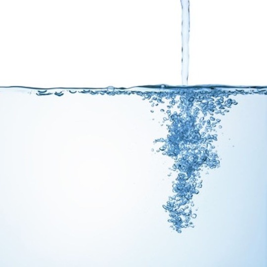 Bild: Yuri Samsonov/ Shutterstock.com 