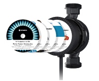 Bild: xylem