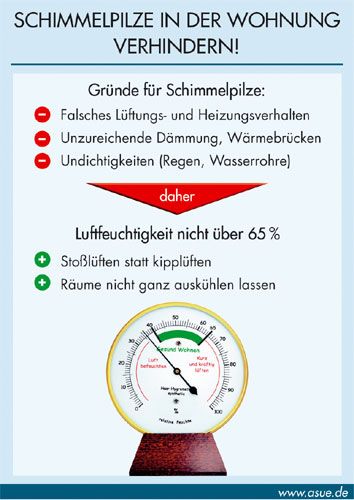 Was tun bei Schimmelpilzen in der Wohnung?