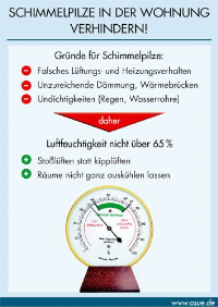 Was tun bei Schimmelpilzen in der Wohnung?