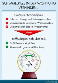 Was tun bei Schimmelpilzen in der Wohnung?