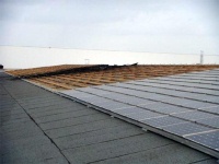 Am 21. Juni 2009 kam es in Bürstadt zu einem Brand eines Teilbereichs der mit 5 MWp weltweit größten Aufdach-Photovoltaik-Anlage. Bei dem Brand wurden circa 80 m² Modulfläche vernichtet. Foto: BP Solar 