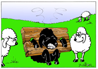 Energieverbraucher stellen ,schwarze Schafe' der Versorger.......