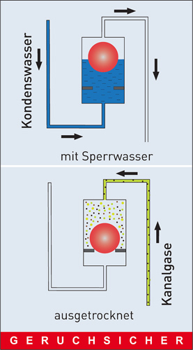 Der Kondensat-Siphon 138 hält mit und auch ohne Sperrwasser...