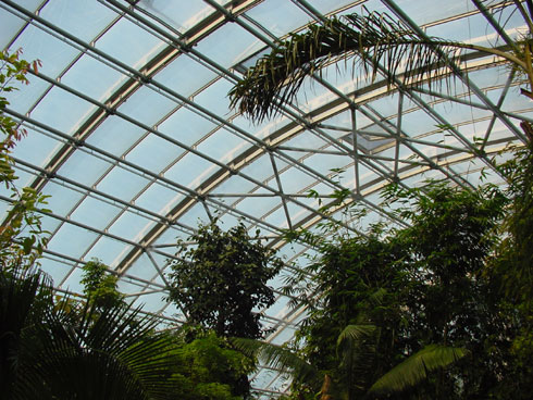 Masoala Regenwaldhalle im Züricher Zoo.