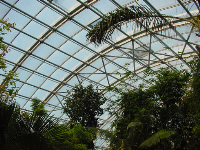Masoala Regenwaldhalle im Züricher Zoo.