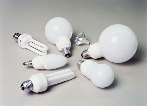 Modellvielfalt auch bei  Energiesparlampen