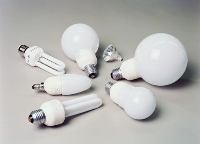 Modellvielfalt auch bei  Energiesparlampen