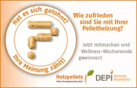 Die Umfrage ist noch bis zum 30.4.2018 unter <a href="https://www.surveymonkey.de/r/DEPIlandingpage"target="_blank">www.depi.de/de/umfrage</a> online.