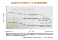 Brennstoffkosten in Deutschland. Bild: DEPV