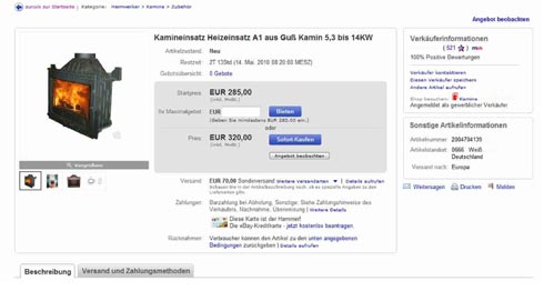 Auch die Auswahl an Kamineinsätzen ist im Internet...