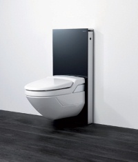 Das Sanitärmodul Geberit Monolith wurde für Innovation, hohe Qualität, Design und Funktionalität ausgezeichnet. Zudem verlieh die Jury des Plus X Award an Geberit Monolith das Gütesiegel "Bestes Produkt des Jahres 2011" als bestes Sanitärmodul.